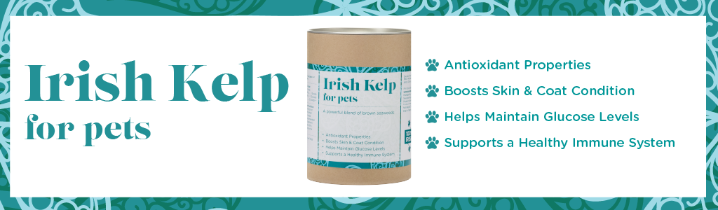 Advertisement banner for 'Irish Kelp for pets'. It features a teal background with decorative swirls and a central image of a cylindrical container labeled 'Irish Kelp for pets'. The text highlights the product's benefits, including 'Antioxidant Properties', 'Boosts Skin & Coat Condition', 'Helps Maintain Glucose Levels', and 'Supports a Healthy Immune System'. The design conveys a health-focused theme for pet care products.