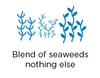 Blend of Brown Seaweeds, nothing else