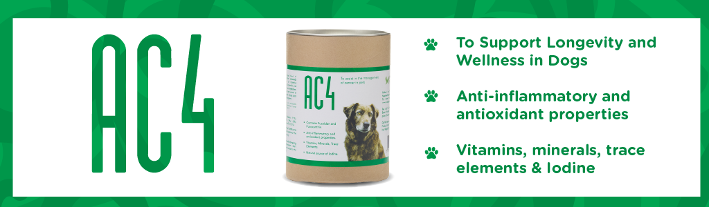 Promotional banner for 'AC4', a canine supplement, featuring a can labeled with benefits such as supporting longevity and wellness in dogs, anti-inflammatory and antioxidant properties, and a rich blend of vitamins, minerals, trace elements, and iodine, set against a vibrant green background.