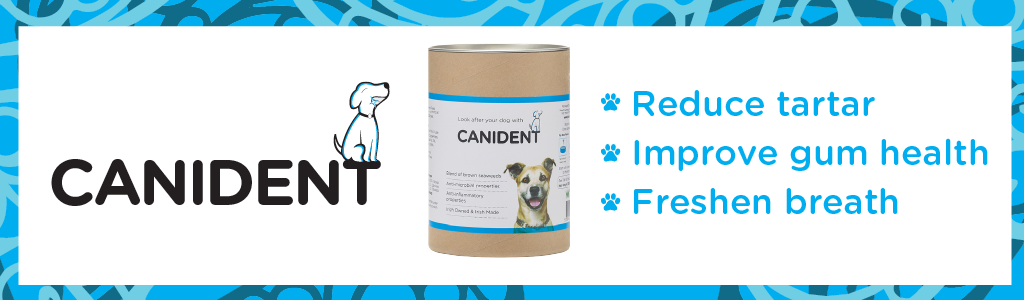 This image is a promotional banner for a product called "CANIDENT". The banner has a blue and white abstract background pattern that resembles swirling water or waves. On the left side, there's a large, bold text "CANIDENT" in black with a simple line drawing of a dog above it. Next to the text is an image of the product, a cylindrical container with the label "CANIDENT" and a photo of a dog on it. To the right of the container, there are three key benefits listed with blue paw print bullet points: "Reduce tartar", "Improve gum health", and "Freshen breath". The design is clean and informative, highlighting the product name and its dental health benefits for pets.