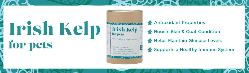 Promotional banner for 'Irish Kelp for pets', displaying a can of the product with listed benefits including Antioxidant Properties, Boosts Skin & Coat Condition, Helps Maintain Glucose Levels, and Supports a Healthy Immune System, set against a teal background with decorative swirl patterns.