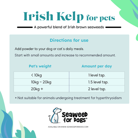 Irish Pure, alimentation et friandises pour chien enrichit en kelp – inooko