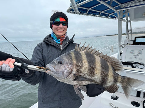 St. Joe Bay, Florida, Sheephead