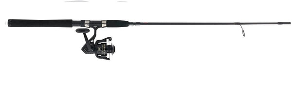 PENN Wrath II 8000 Spinning Reel and Rod Combo