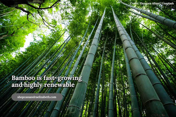 Bamboo is fast-growing and highly renewable