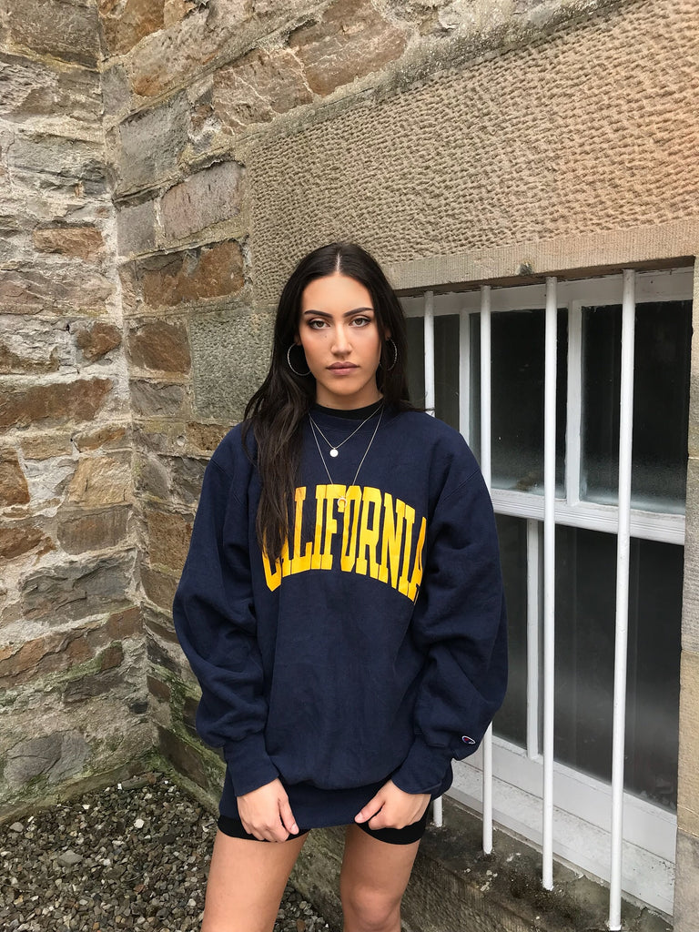 champion navy jumper