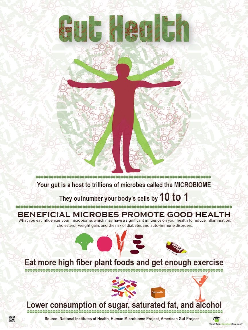https://cdn.shopify.com/s/files/1/1060/9112/products/gut-health-poster-microbiome-poster-18-x-24-laminated-749946.jpg?v=1676231922