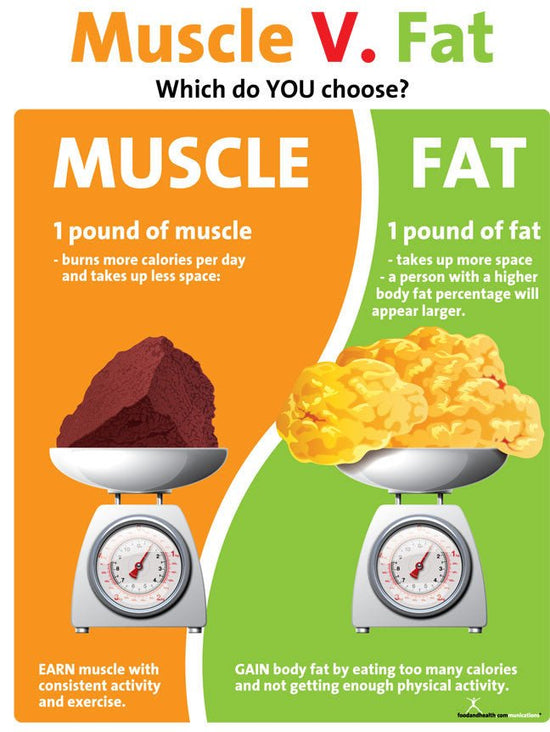 Infographics Archive on X: How Much Is A Pound Of Fat? The Skinny