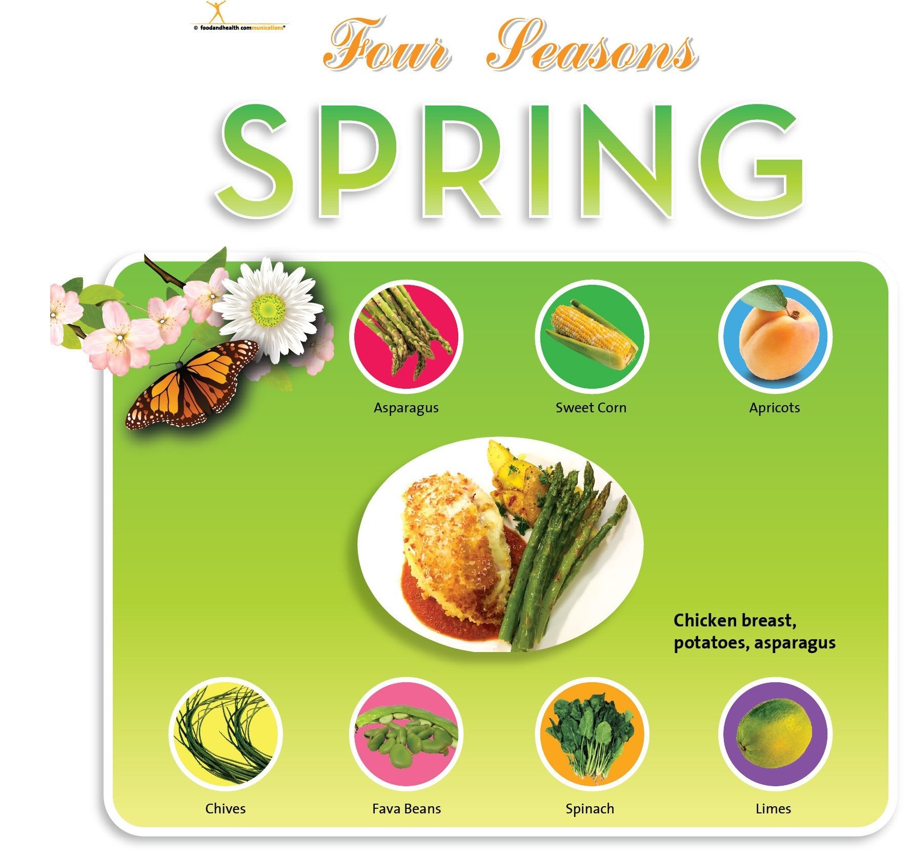 Spring Season Bulletin Board Banner 24" x 24" Square Banner for Bulletin Boards, Walls, and More - Nutrition Education Store