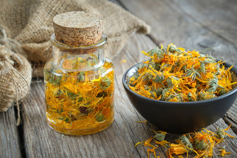 calendula extract