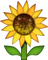 Download Sunflower Emoji In PNG