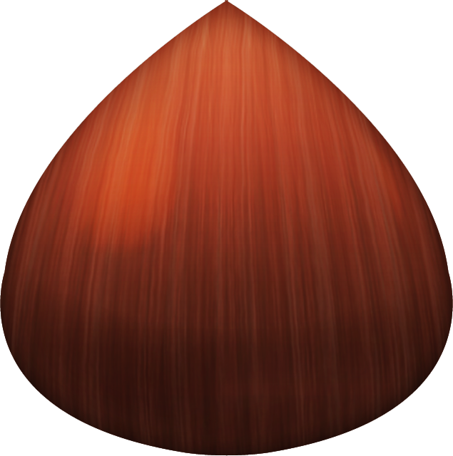 Download Chestnut Emoji Image In Png Emoji Island