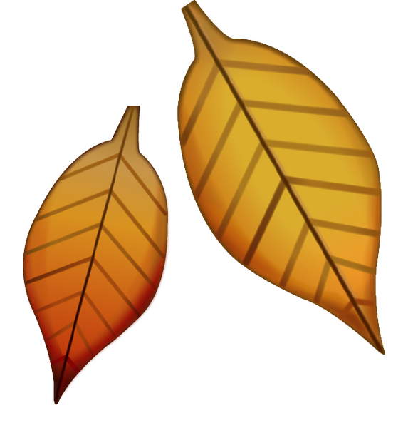 Download Fallen Leaf Emoji Image in PNG | Emoji Island