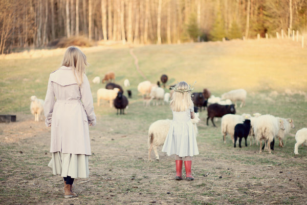 Forest sheep farm in Lithuania