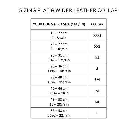Flat and Wider Soft Leather Dog Collar Aqua – Dogs and Horses