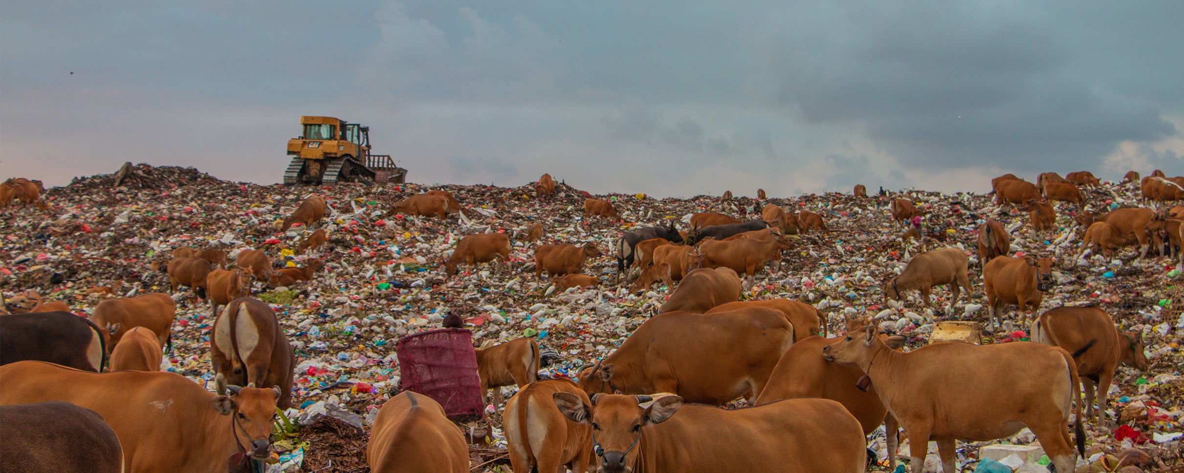 Suwung landfill in Bali.