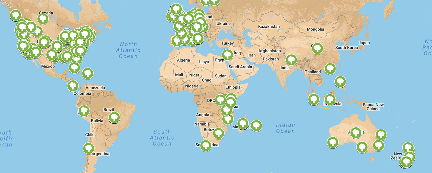 The global Trump Forest map.