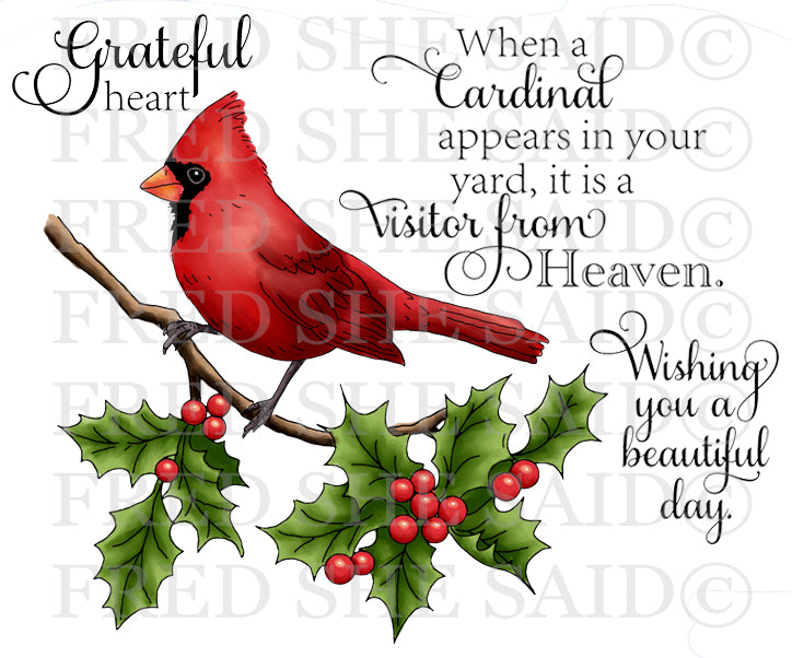 Cardinal & Holly Digital Stamp Set [Digi895FS]