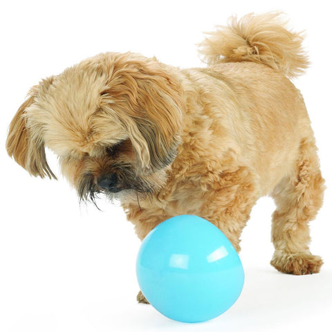 Planet Dog Orbee-Tuff Mazee Ball Dog Toy, Orange