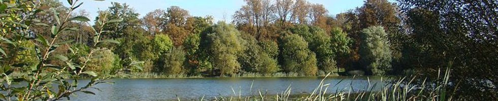 Hinchingbrooke Country Park – Cambridgeshire