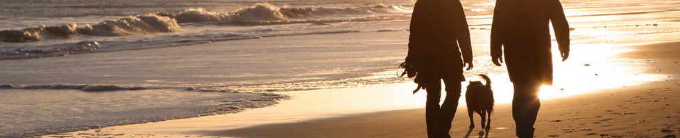 Whitby Beach – Yorkshire