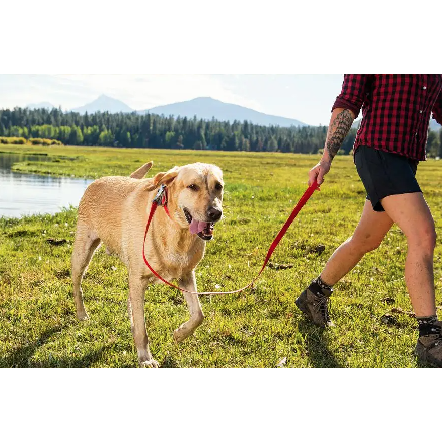 ruffwear headwater leash