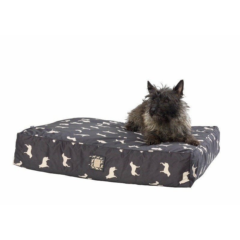 house of paws dog bed