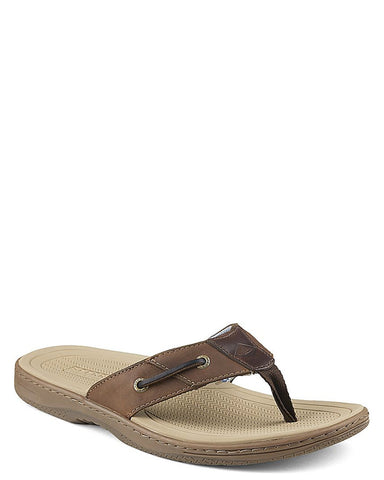 sperry mens flip flops