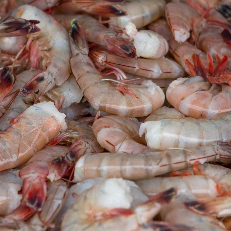 Jumbo Shrimp Shrimp Buy Jumbo Shrimp Buy Shrimp Online Crazy Lobster Shellfish Co