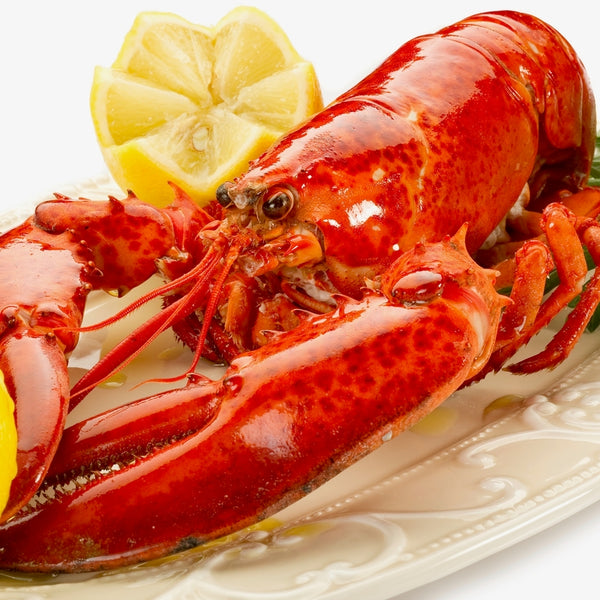 Lobster Feast | Lobster Feast For Four | Best Price Lobster Feast