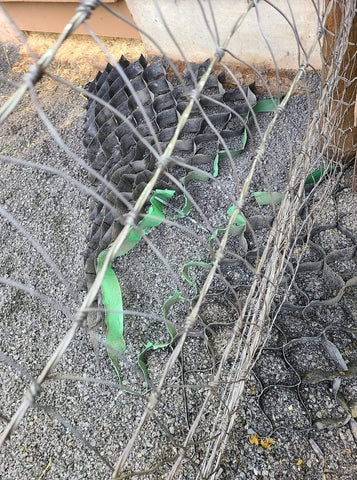 how not to fail at lighthoof paddock mud management