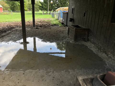 Paddock drainage and mud management