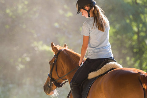 horses in summer