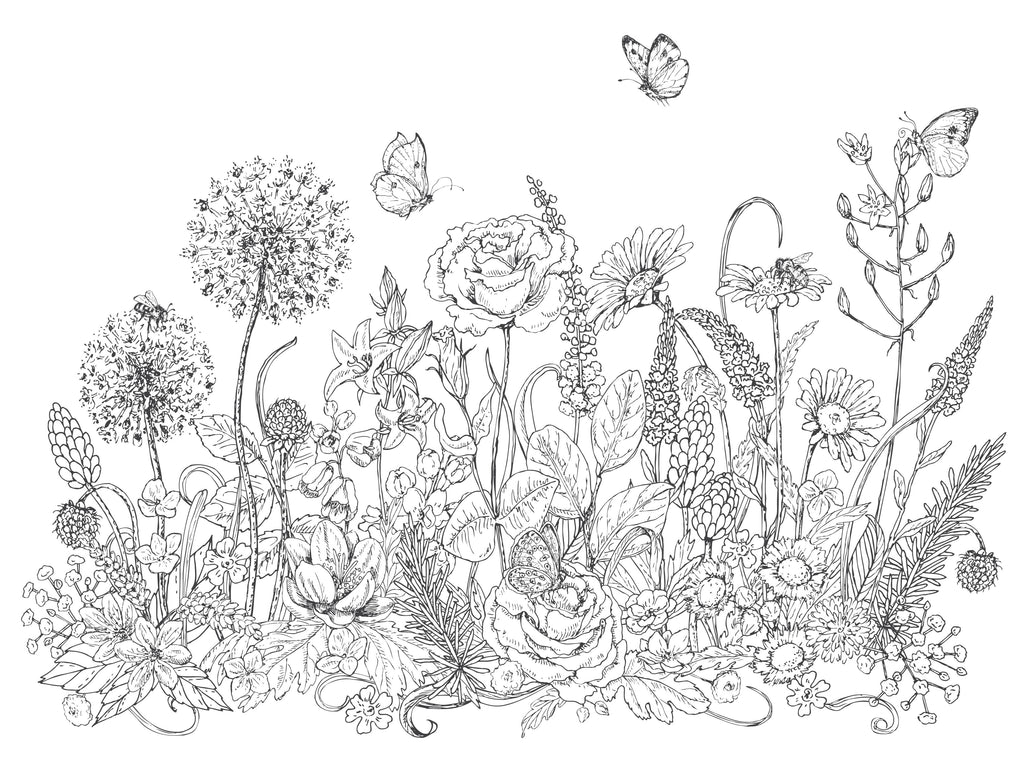 Pollinators and Wildflowers Coloring Page