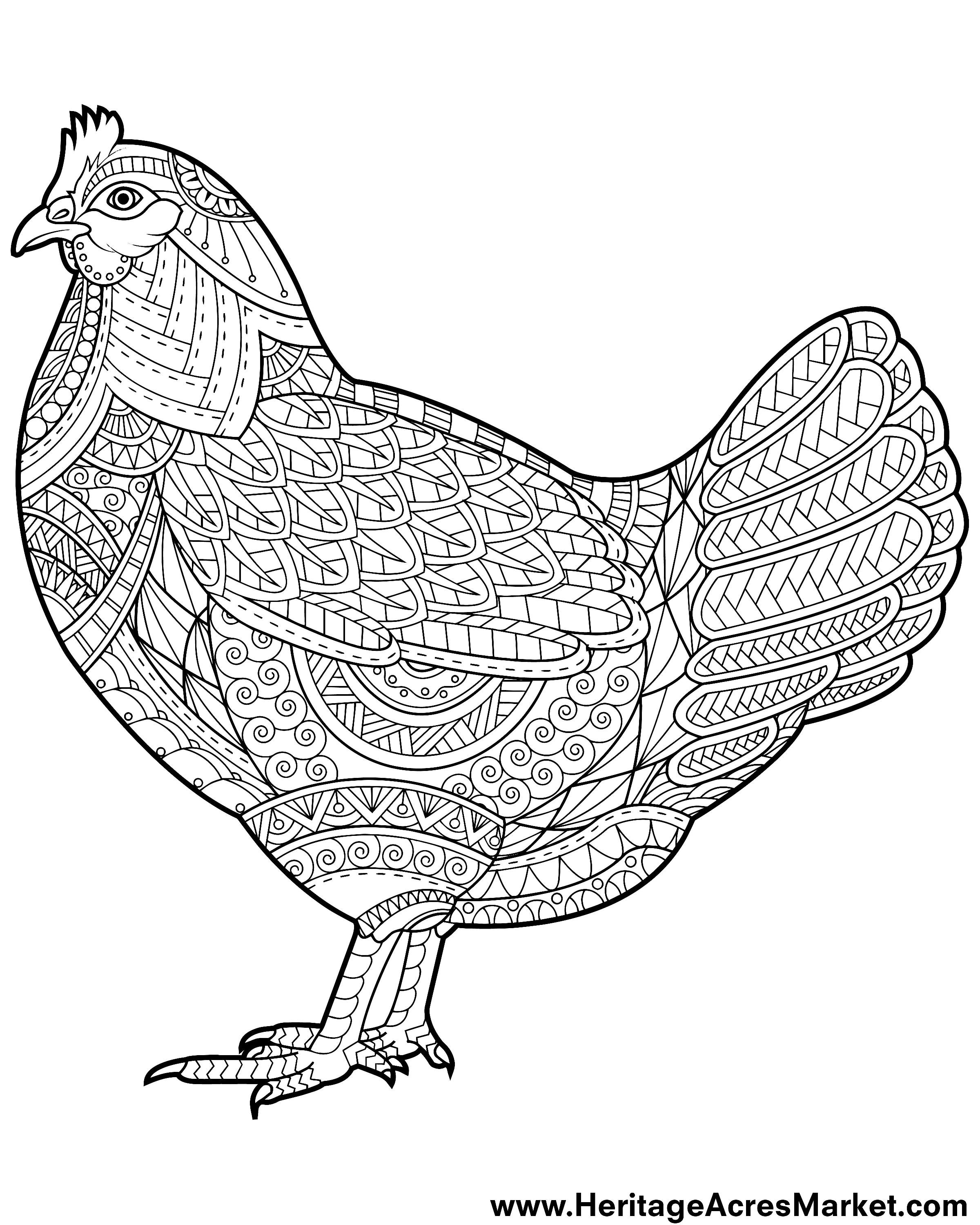 week-3-free-coloring-page-funky-chicken-heritage-acres-market-llc