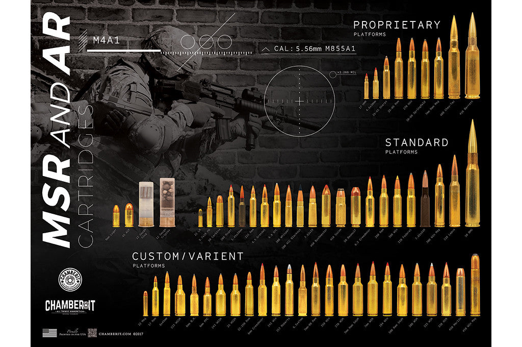 Ammunition Chart Poster