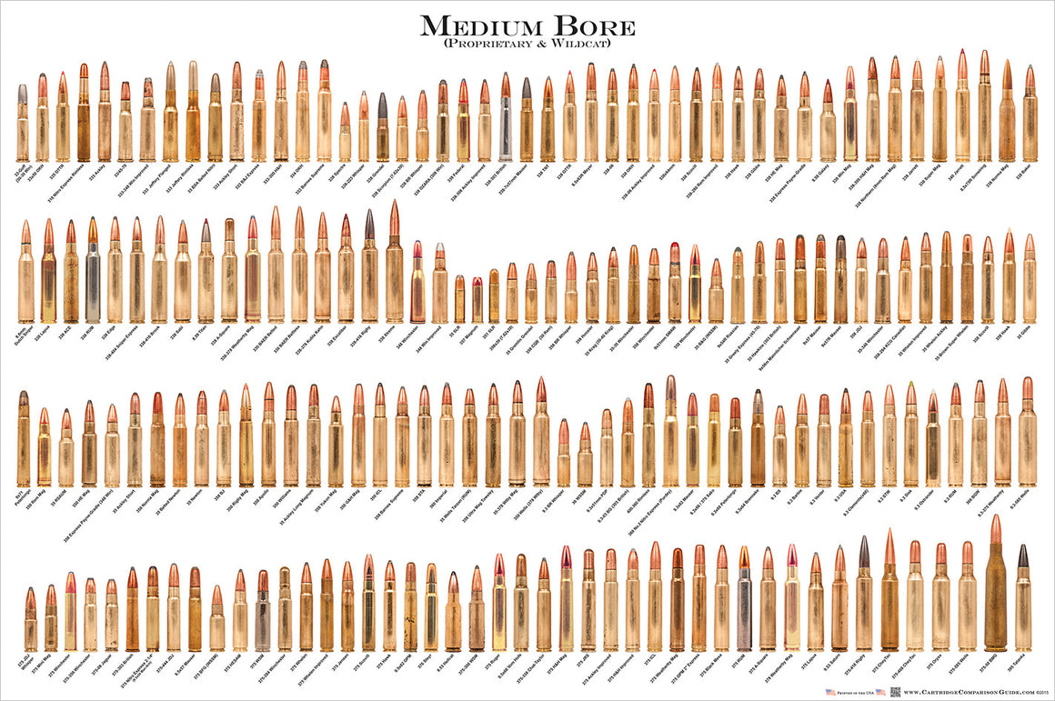 Ammo Size Comparison Chart