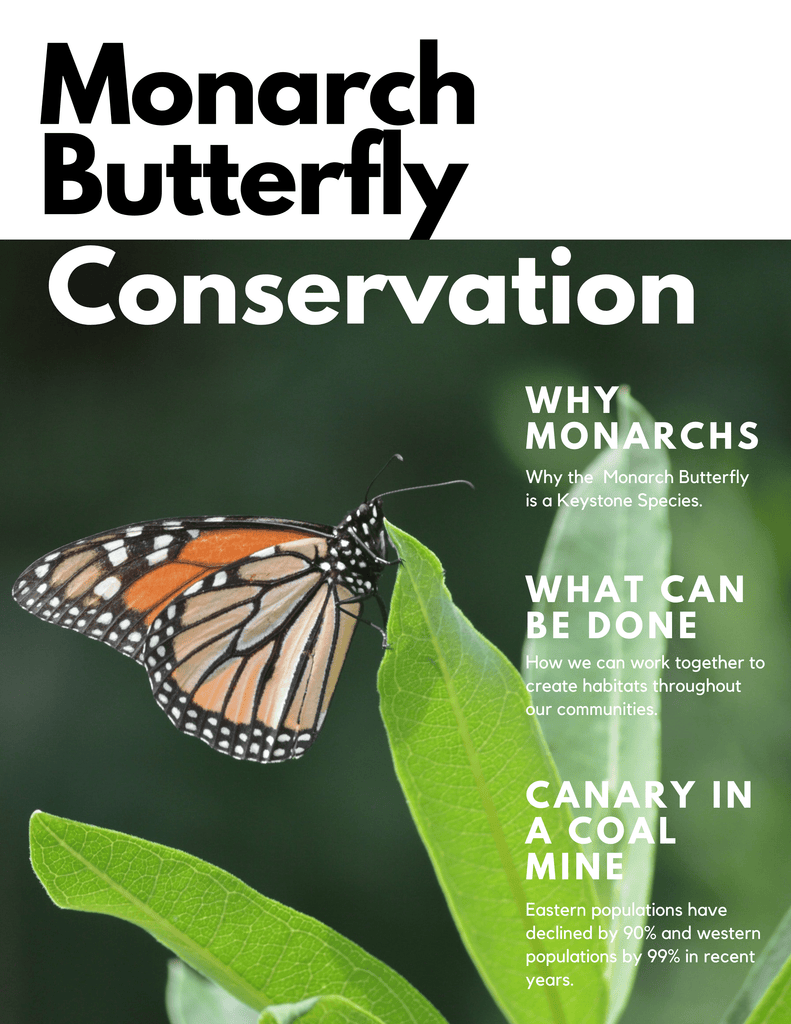 Butterfly Conservation