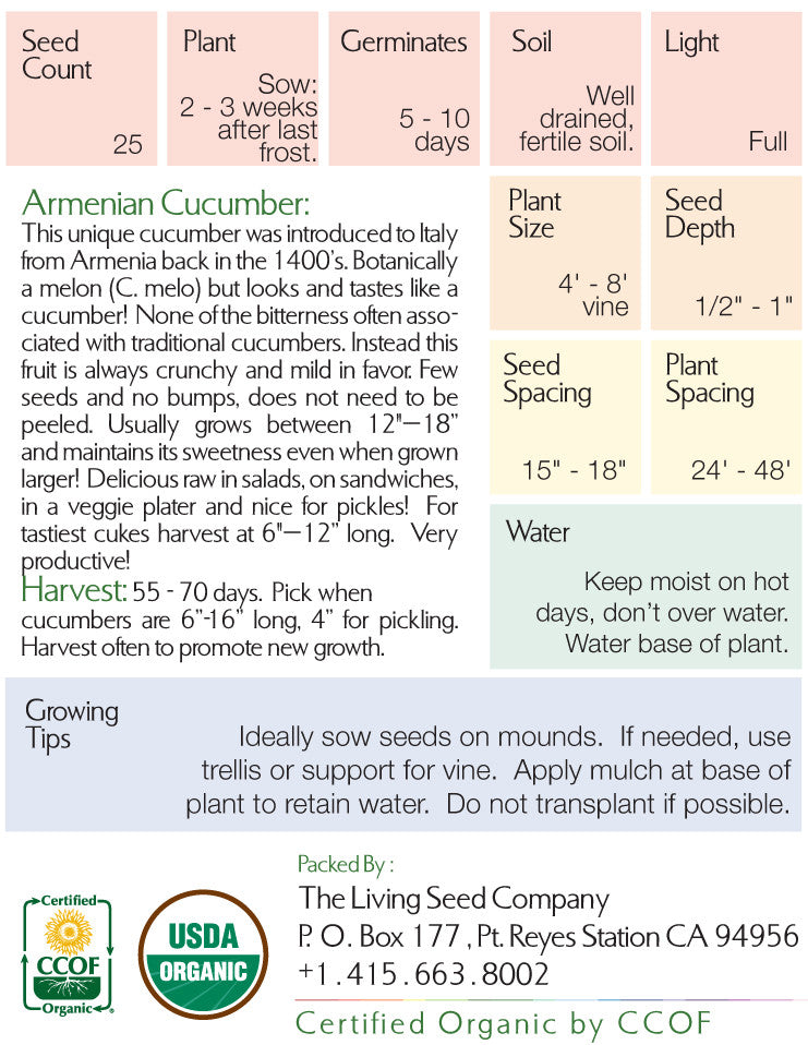 Organic Armenian Cucumber Seed Packet