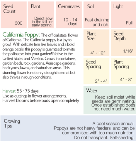 California Poppy - Eschscholzia californica