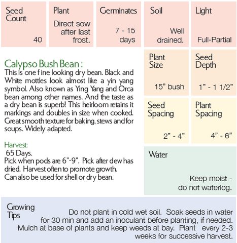 Calypso_Bean_Growing Instructions