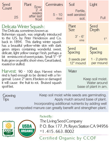 Organic Delicata Winter Squash Seed Packet