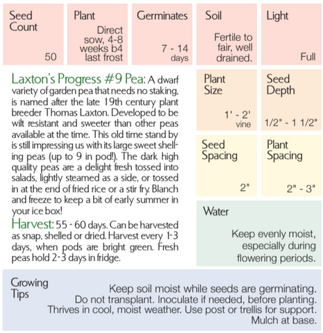 Organic Laxton's Progress #9 - Pisum sativum