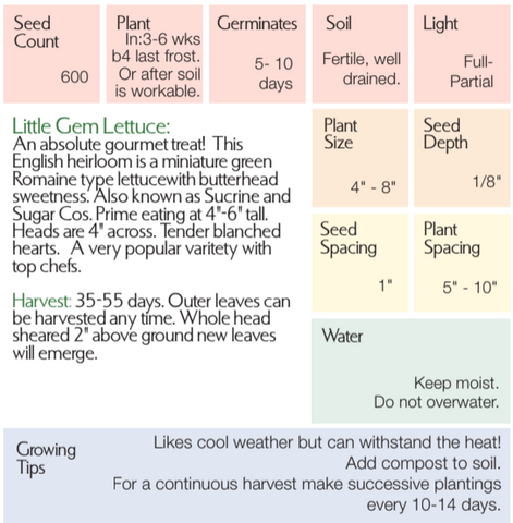 Little Gem Romaine Lettuce Seeds – West Coast Seeds