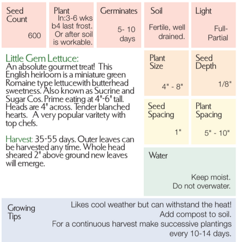 Lettuce - Little Gem Seeds – Sandia Seed Company