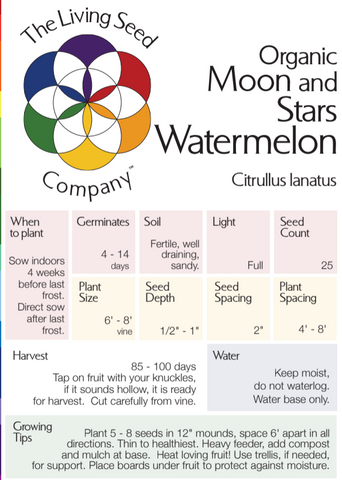 Moon and Stars Watermelon - Citrullus lanatus