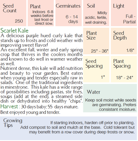 scarlet kale growing instructions