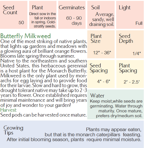 butterfly milkweed growing instructions