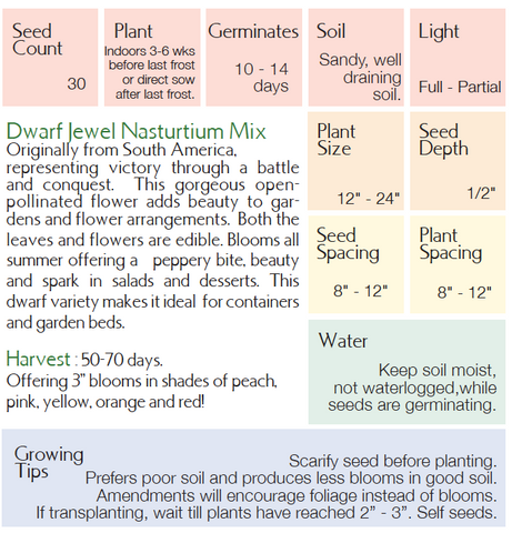 Dwarf Jewel Nasturtium Mix - Tropaeolum majus