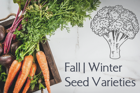 Fall | Winter Seed Varieties